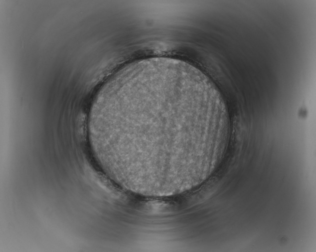 X0000112150650200909041104