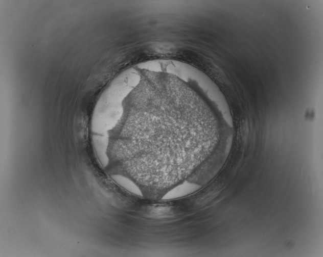 X0000112150651200909041104