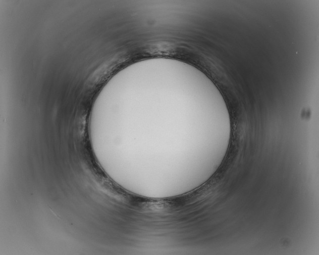 X0000112150652200909041104