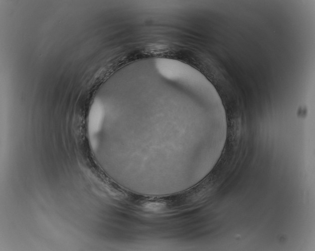 X0000112150653200909041104