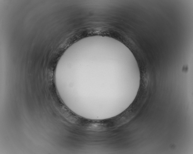 X0000112150657200909041104