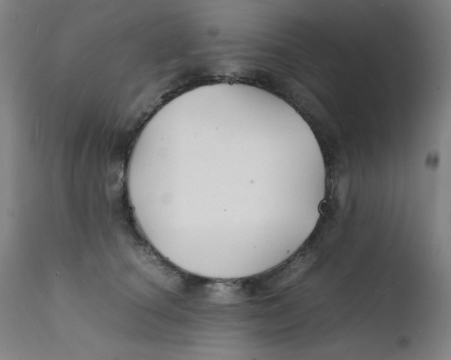 X0000112150660200909041105