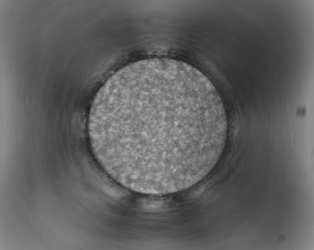 X0000112150661200909041105