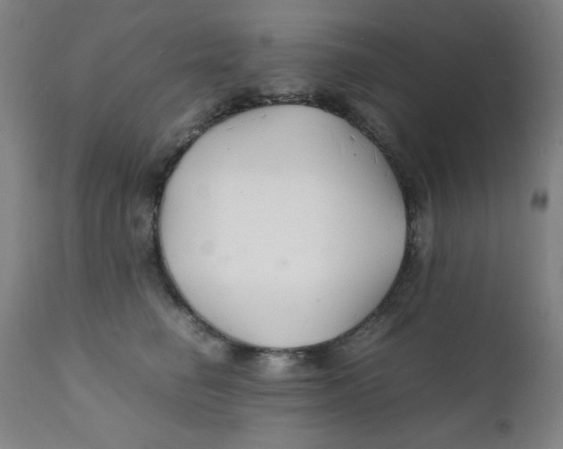 X0000112150662200909041105