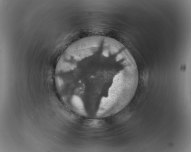 X0000112150663200909041105