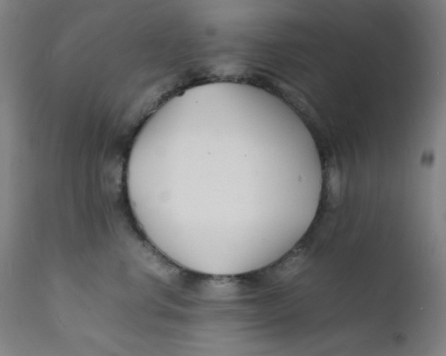 X0000112150668200909041105