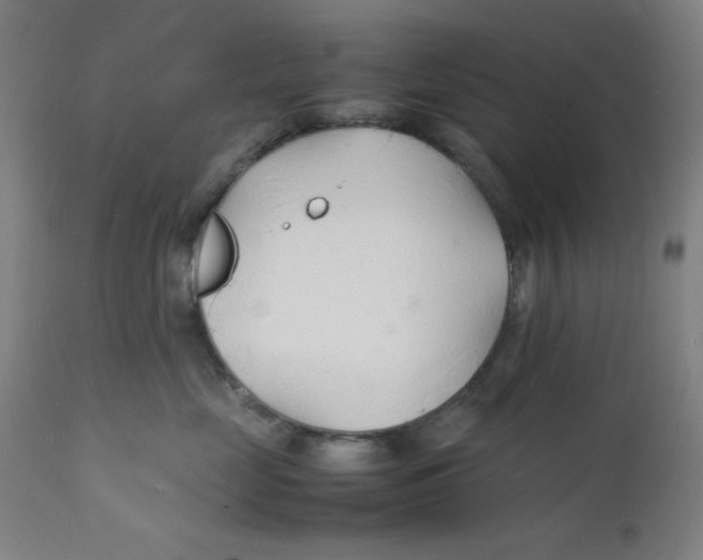 X0000112150669200909041105