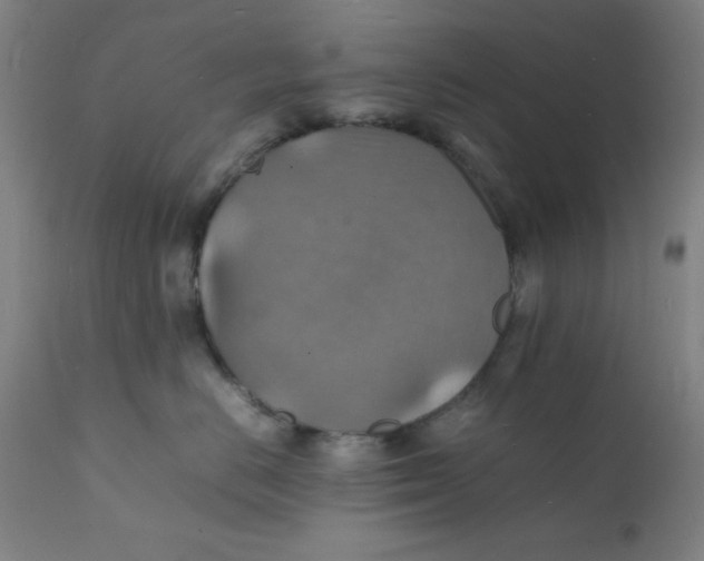 X0000112150670200909041105