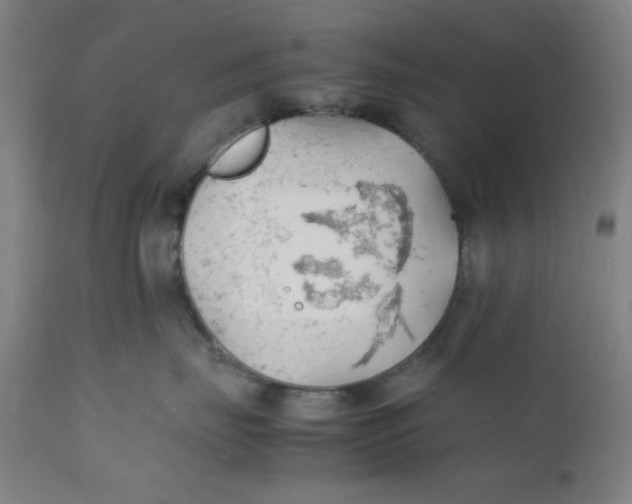 X0000112150671200909041105