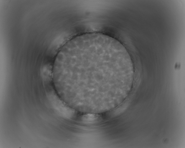 X0000112150672200909041105