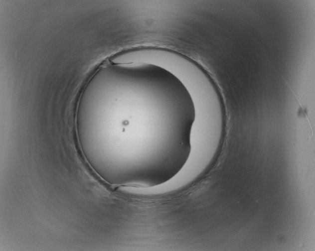 X0000112150673200909041104