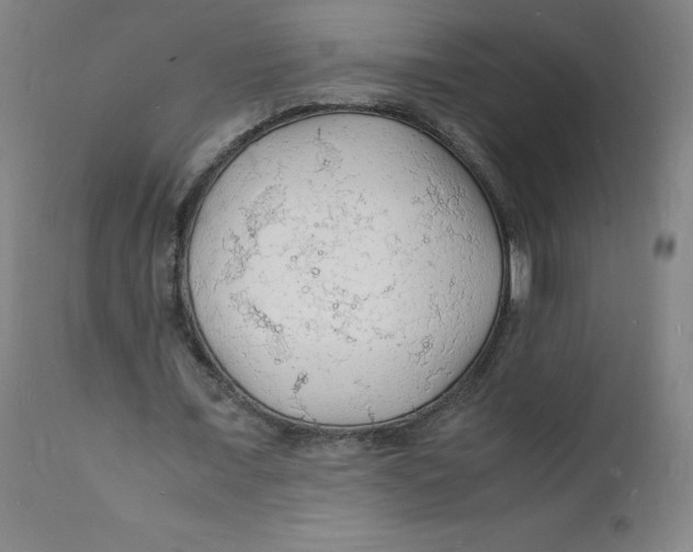 X0000112150675200909041104