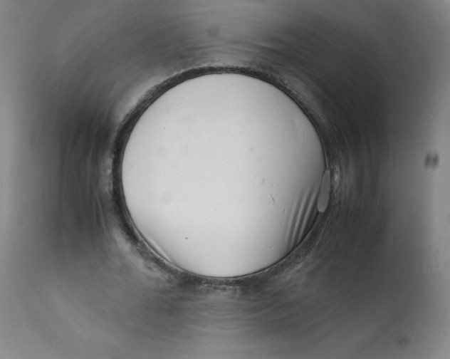 X0000112150676200909041104