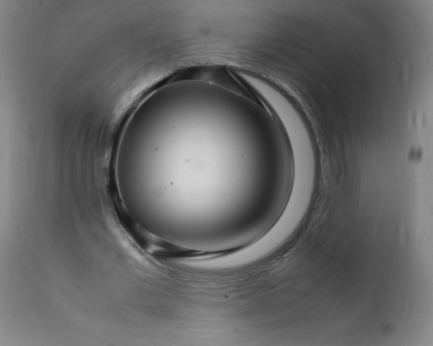 X0000112150677200909041104