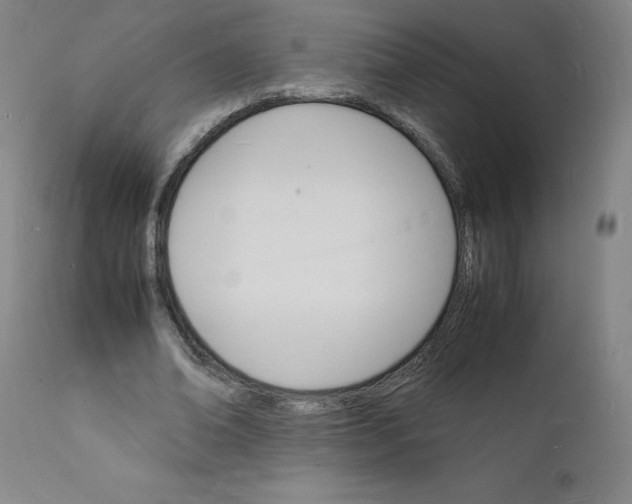 X0000112150678200909041104