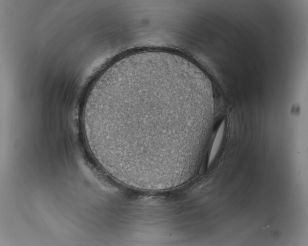 X0000112150680200909041104