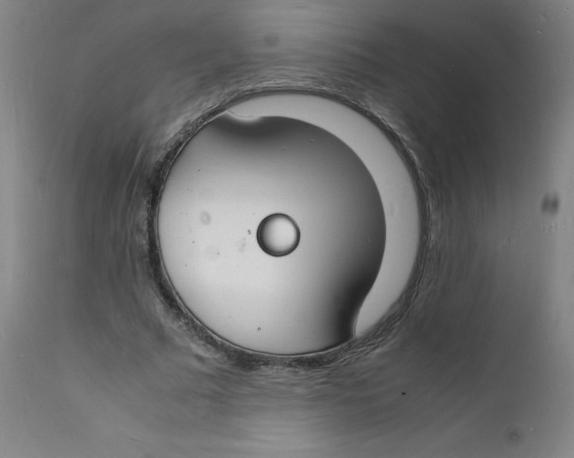 X0000112150681200909041104