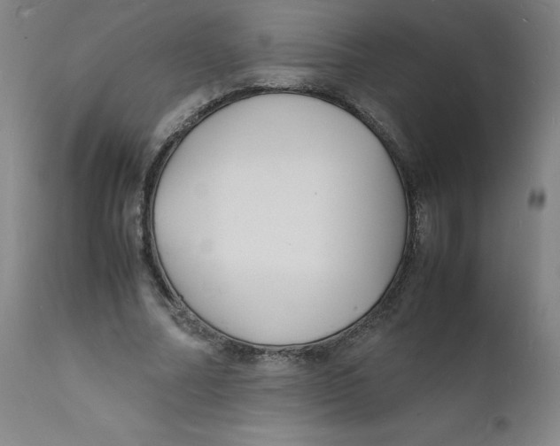 X0000112150682200909041104