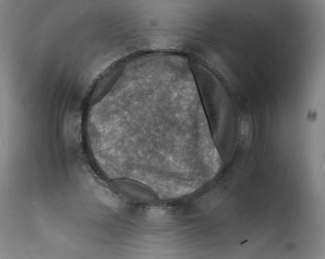 X0000112150684200909041104