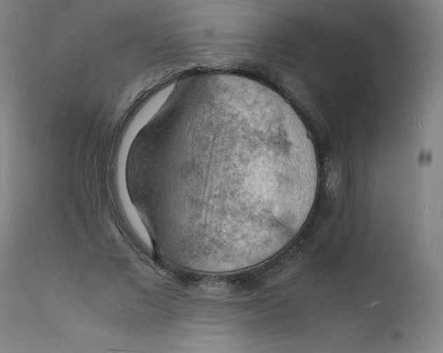 X0000112150685200909041104