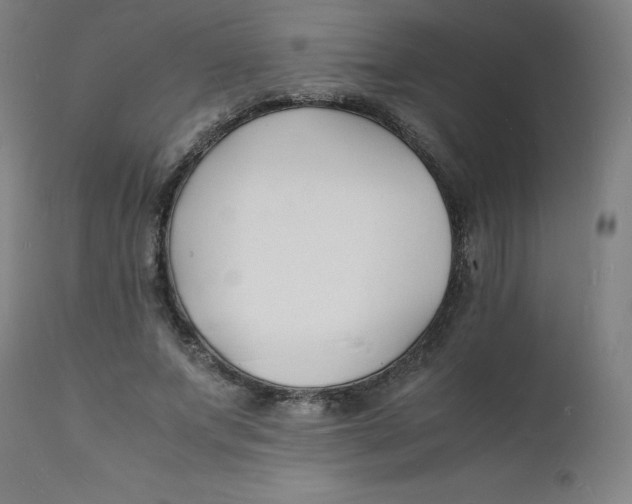 X0000112150687200909041104