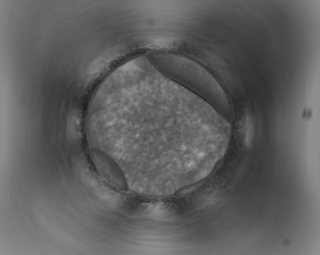 X0000112150688200909041104