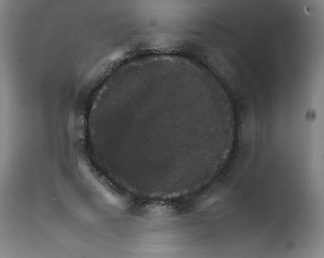 X0000112150689200909041104