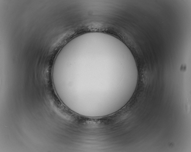 X0000112150690200909041104