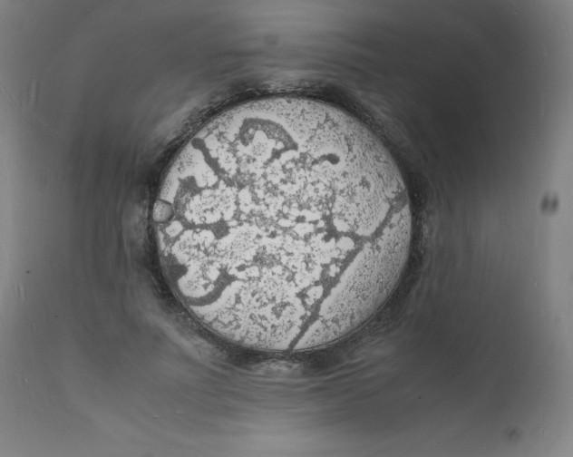 X0000112150691200909041104