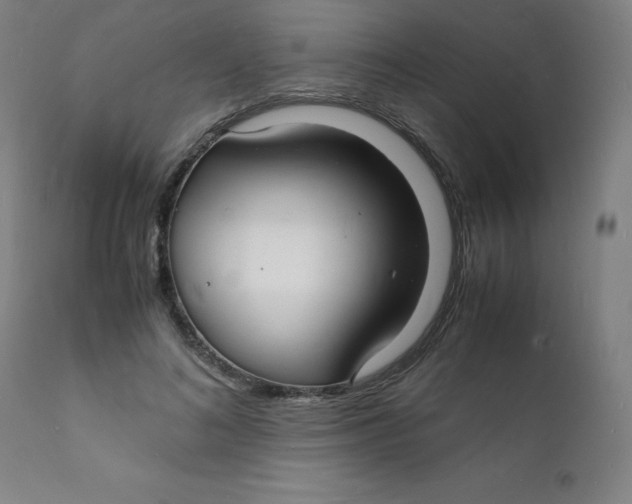 X0000112150692200909041104