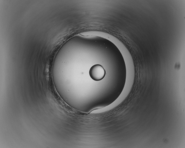 X0000112150696200909041104