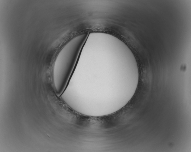 X0000112150697200909041104