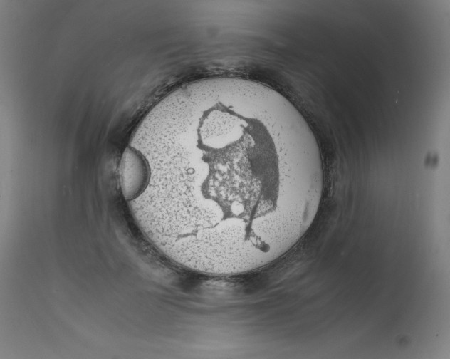 X0000112150699200909041104