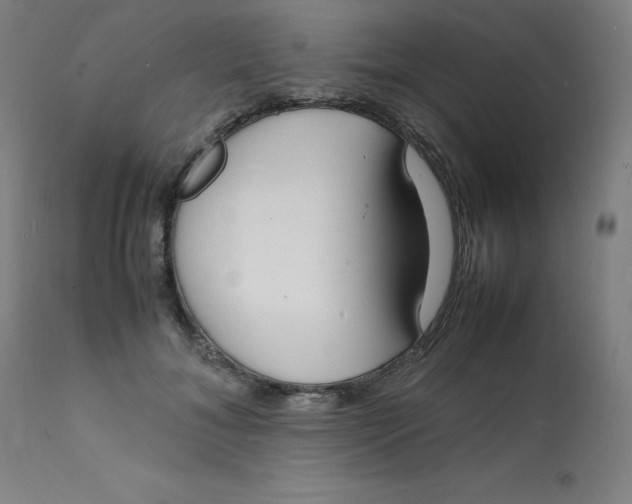 X0000112150700200909041104