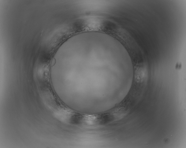 X0000112150701200909041104