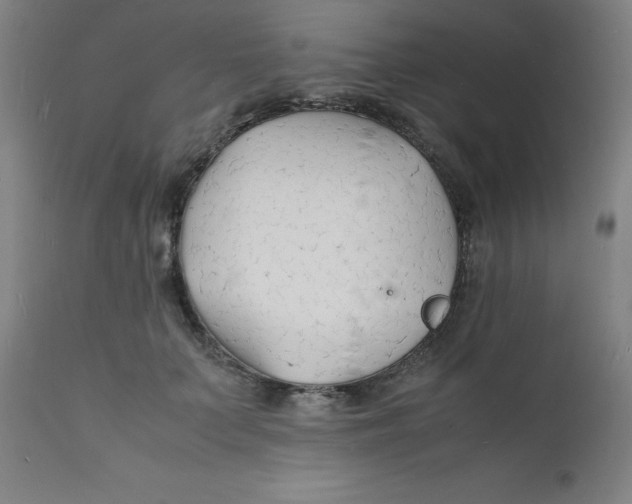 X0000112150703200909041104