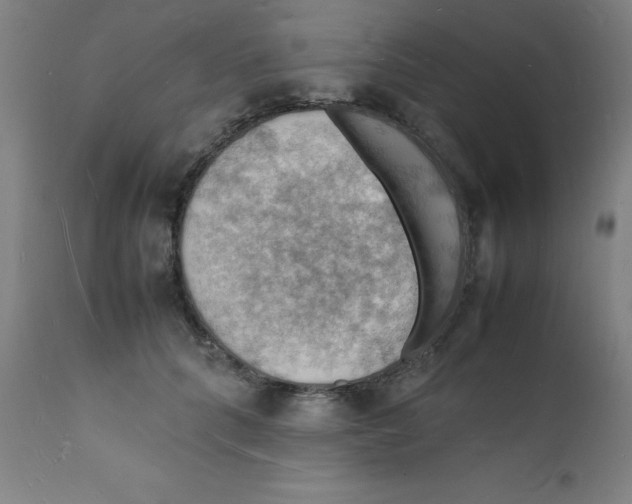 X0000112150704200909041104