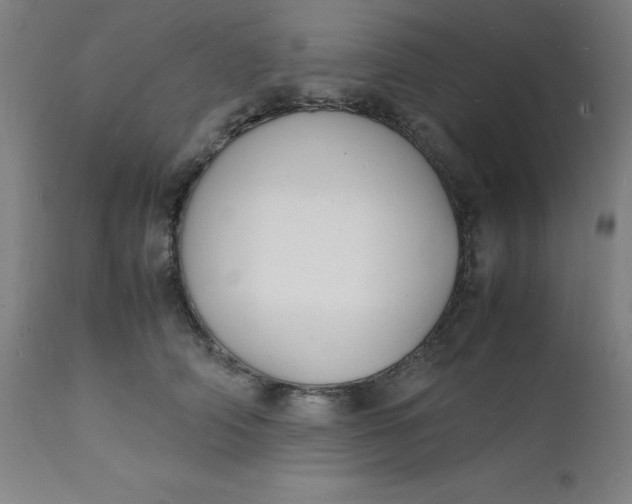 X0000112150706200909041104