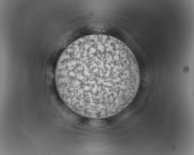 X0000112150707200909041104