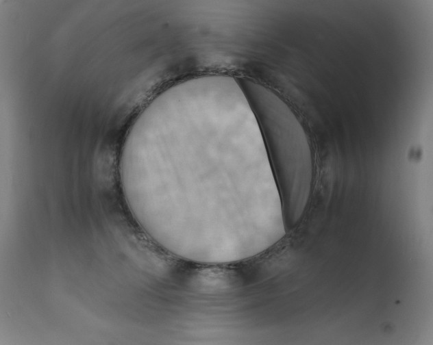 X0000112150708200909041104