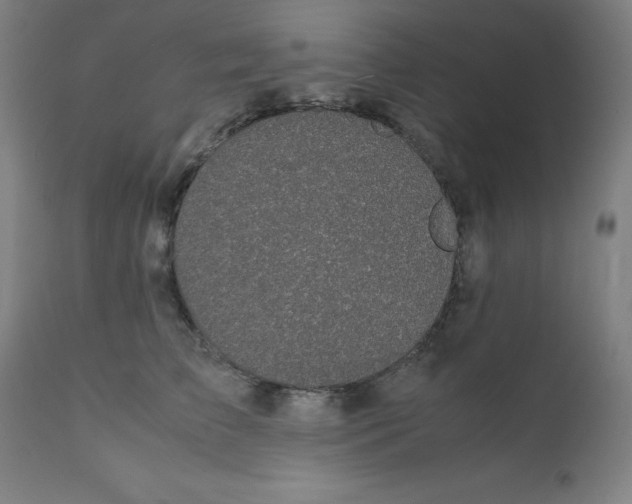 X0000112150709200909041104