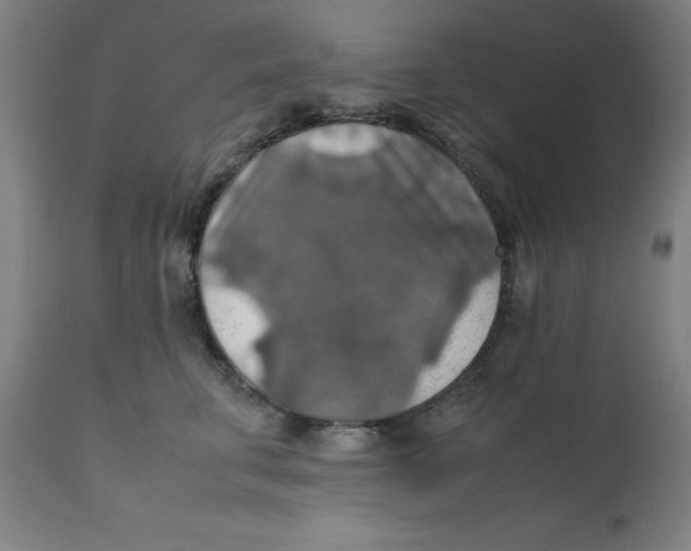 X0000112150711200909041103