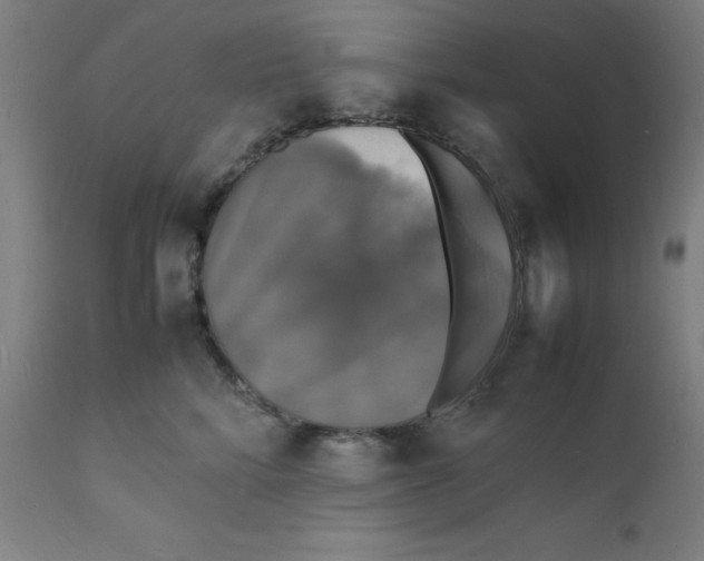 X0000112150712200909041103