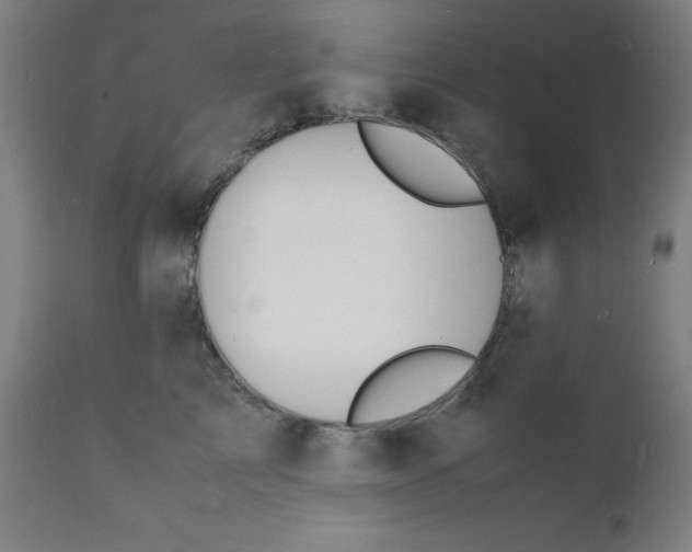 X0000112150713200909041103