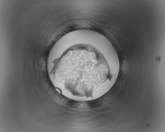 X0000112150715200909041103