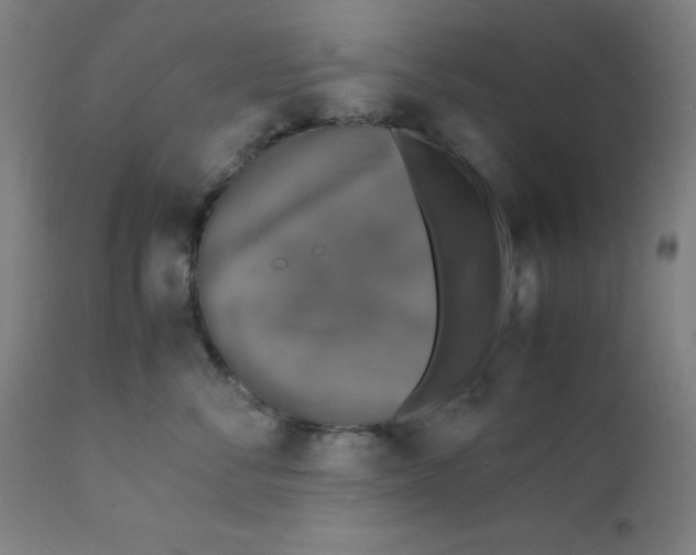 X0000112150716200909041103