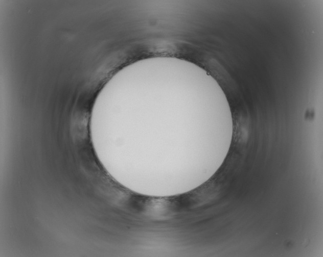 X0000112150717200909041103