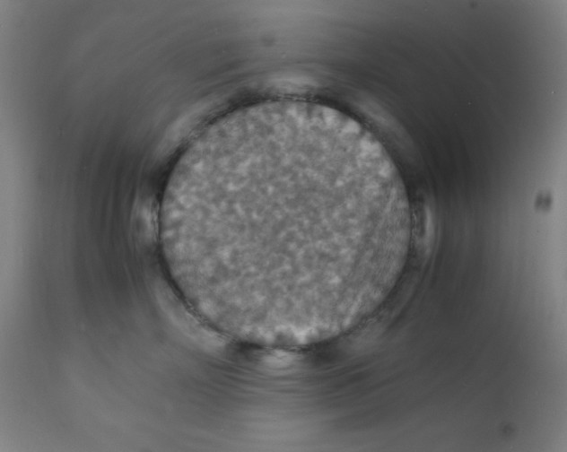 X0000112150718200909041103