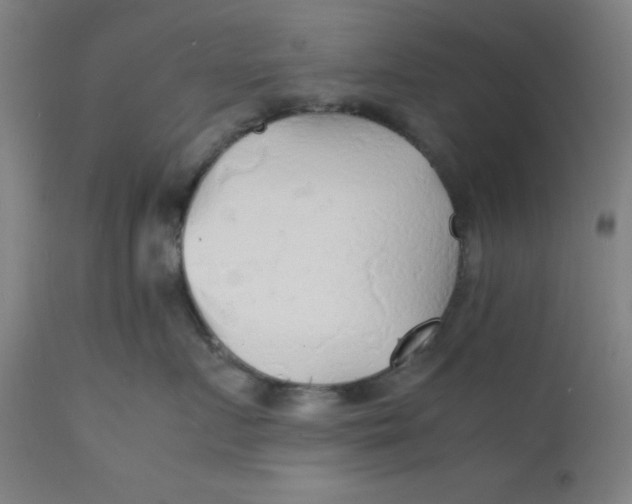 X0000112150719200909041103