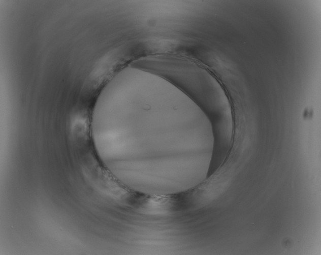 X0000112150720200909041103